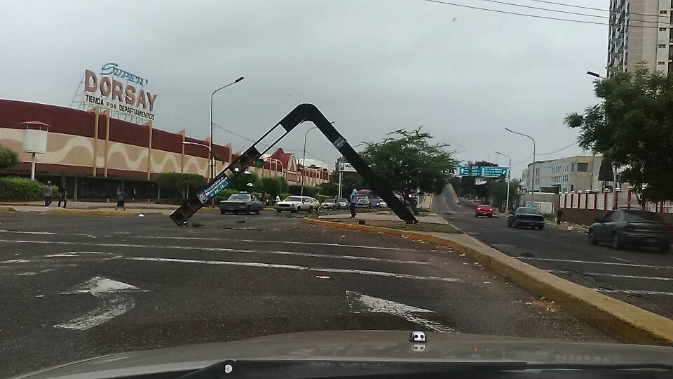 Derribaron el semáforo de la avenida Padilla (FOTO)