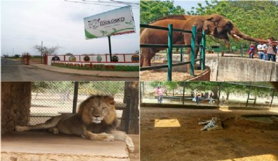 Alcalde Dirwings Arrieta inspecciona el Parque Zoológico