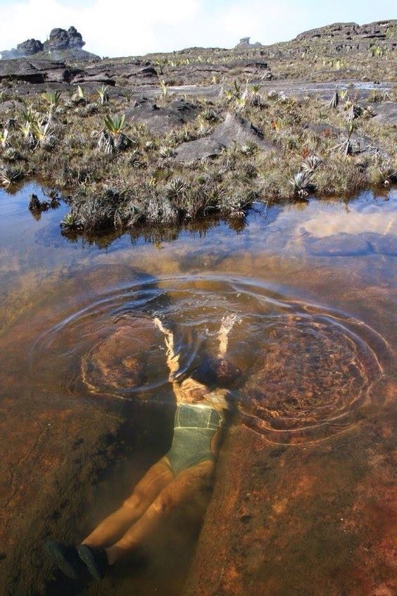 Expertos: Crisis obligará a sustituir petróleo por turismo (Fotos)