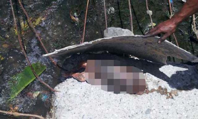 ¡SINIESTRO! Niños se tropiezan con el cadáver de un bebé