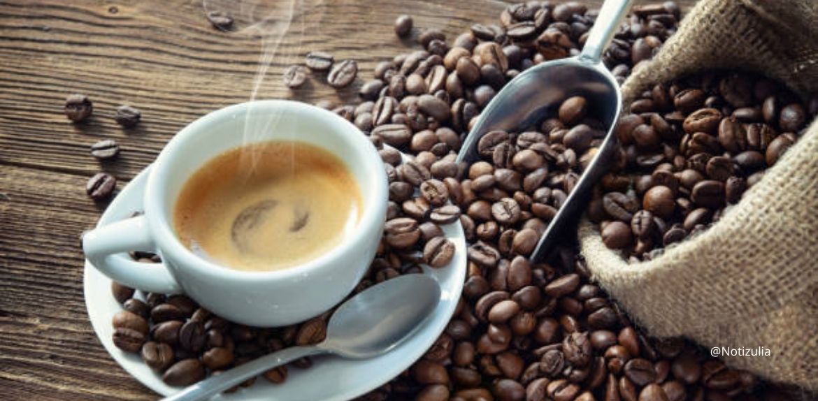 El café como escudo neuroprotector: Ciencia revela cuántas tazas diarias pueden frenar el deterioro cognitivo