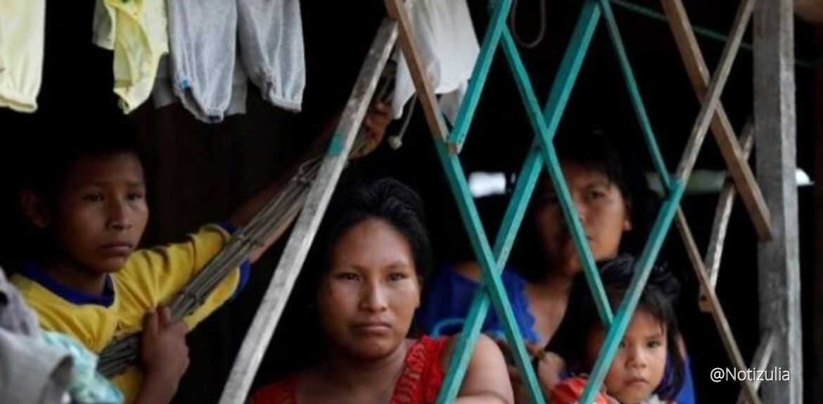 La CELAM respalda informe que se entregará a la OEA sobre Derechos vulnerados en la Amazonía