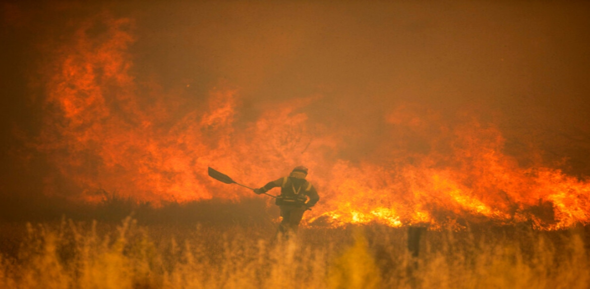Incendios forestales y ola de calor agobian a Europa