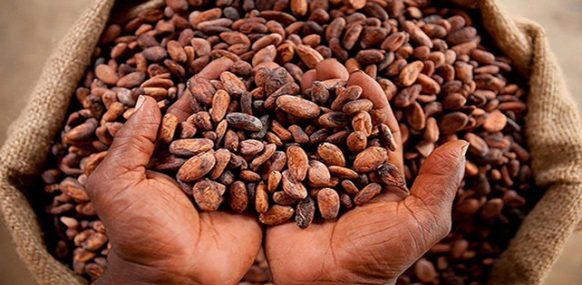 Hoy se celebra el Día Mundial del Cacao.