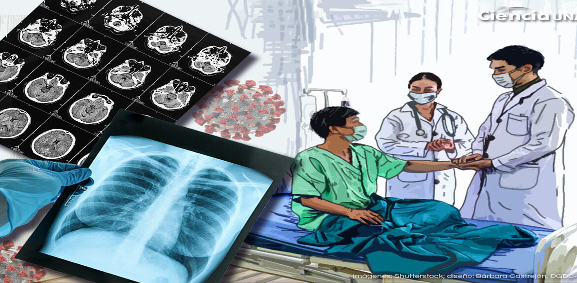 Sociedad Venezolana de Infectología pide hacer diagnósticos para diferenciar los tipos de virus