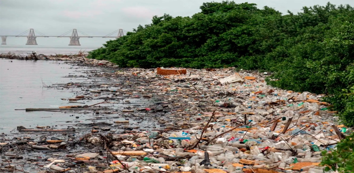 El Lago de Maracaibo está inundado por toneladas de plástico