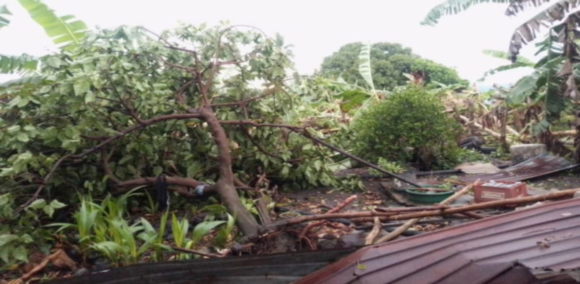 Lluvias y vientos tumban techos y árboles en el municipio Baralt