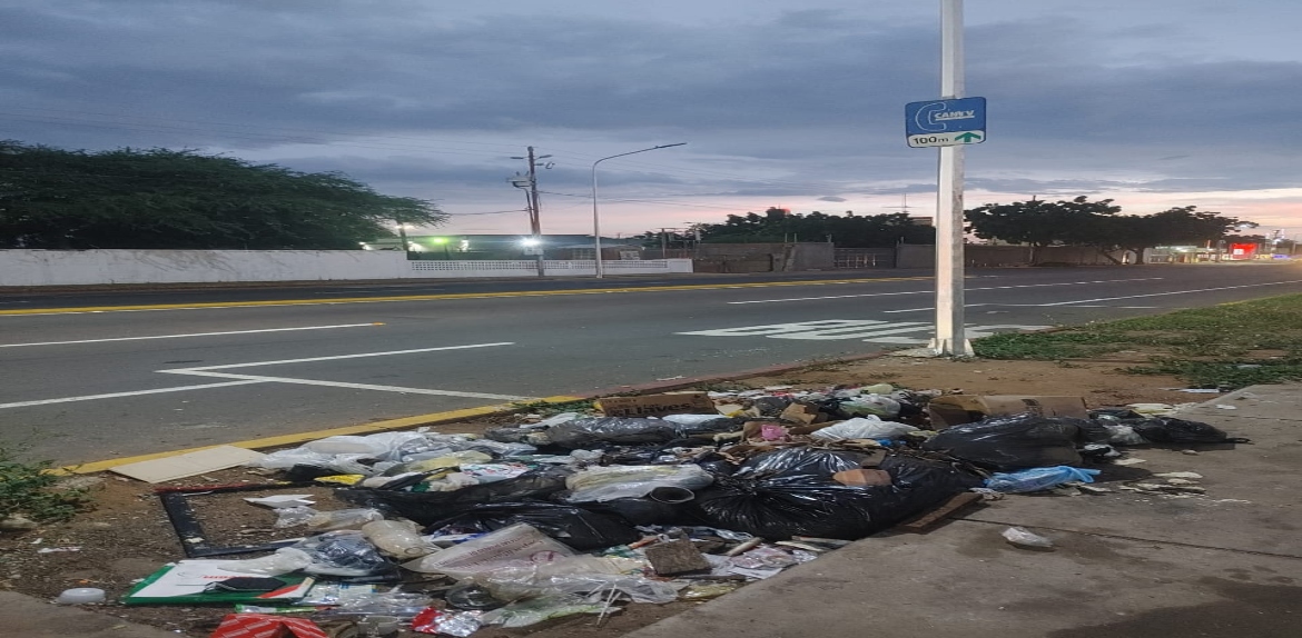 La conciencia ciudadana ayudaría a solucionar el problema de la basura ...