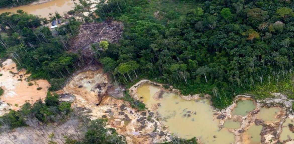 Venezuela es el país con mayor pérdida de bosques en la región amazónica