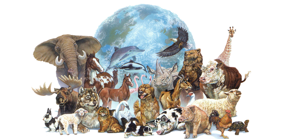4 de octubre| Día mundial de los Animales
