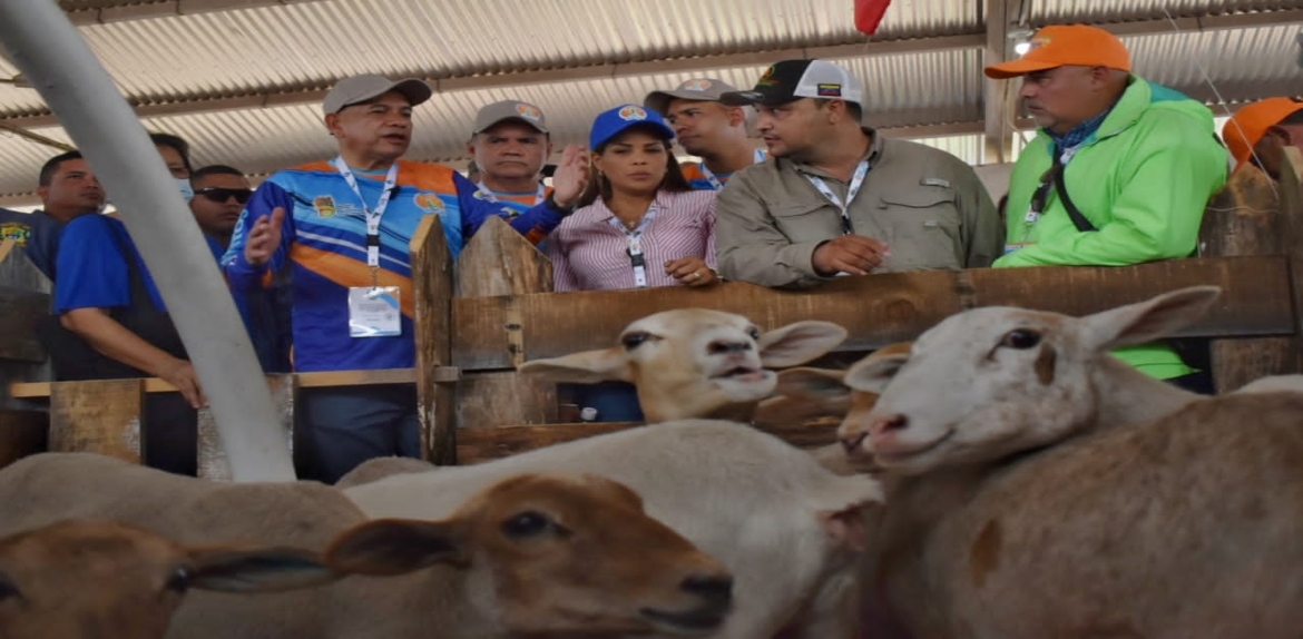 Primera Expoferia Internacional ovina caprina Zulia 2022 será del 2 al 6 de noviembre