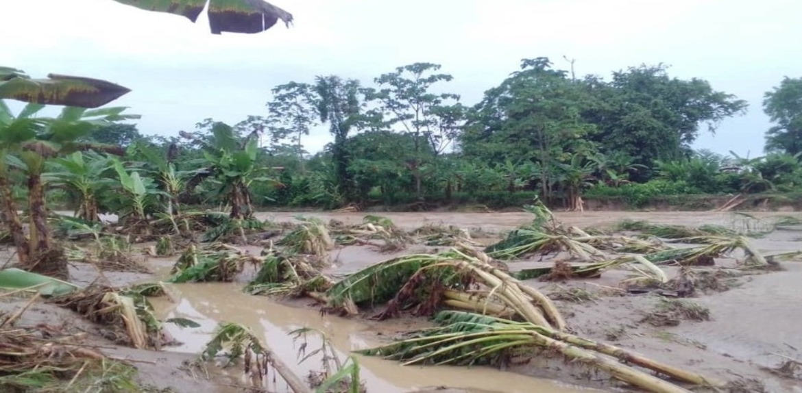 Lluvias han afectado más de 100.000 hectáreas productivas en el Zulia
