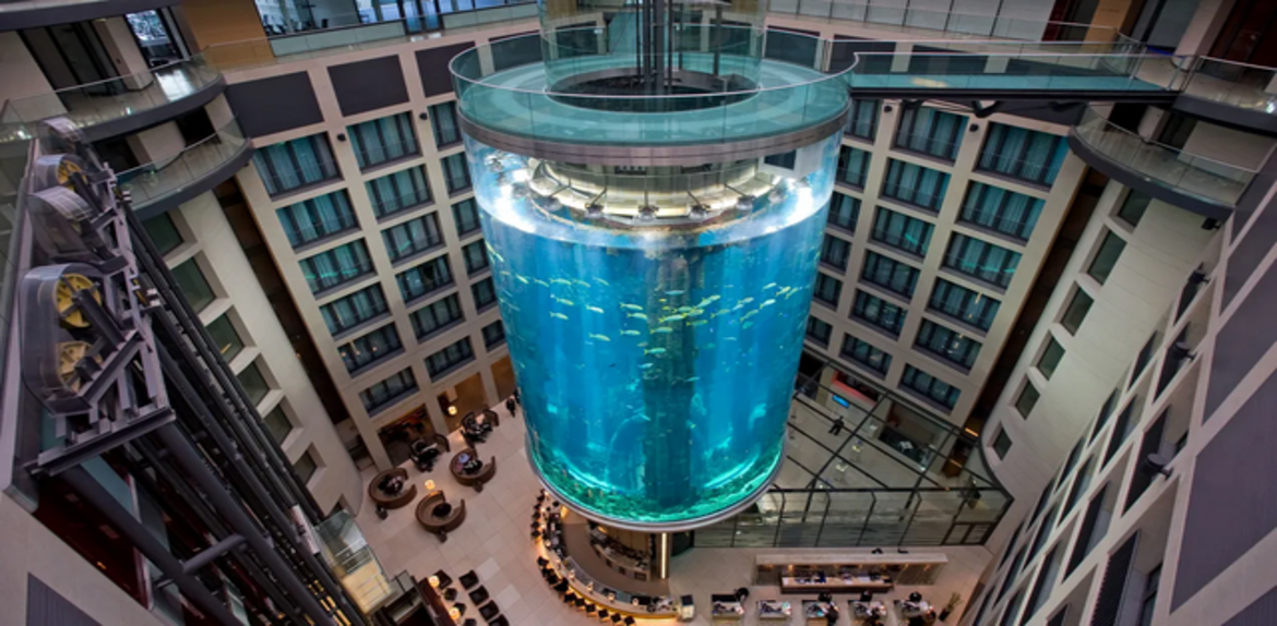 Estalla un inmenso acuario de 1.500 peces en hotel de Berlín