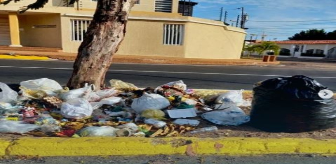 La basura adorna las principales avenidas del municipio San Francisco