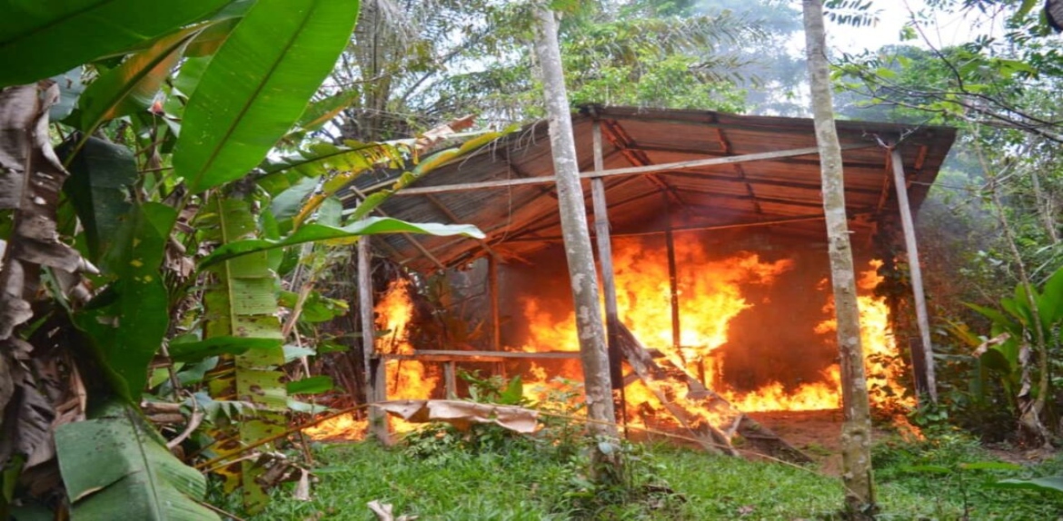 Fanb destruye campamento Tancol con drogas y químicos en el Zulia