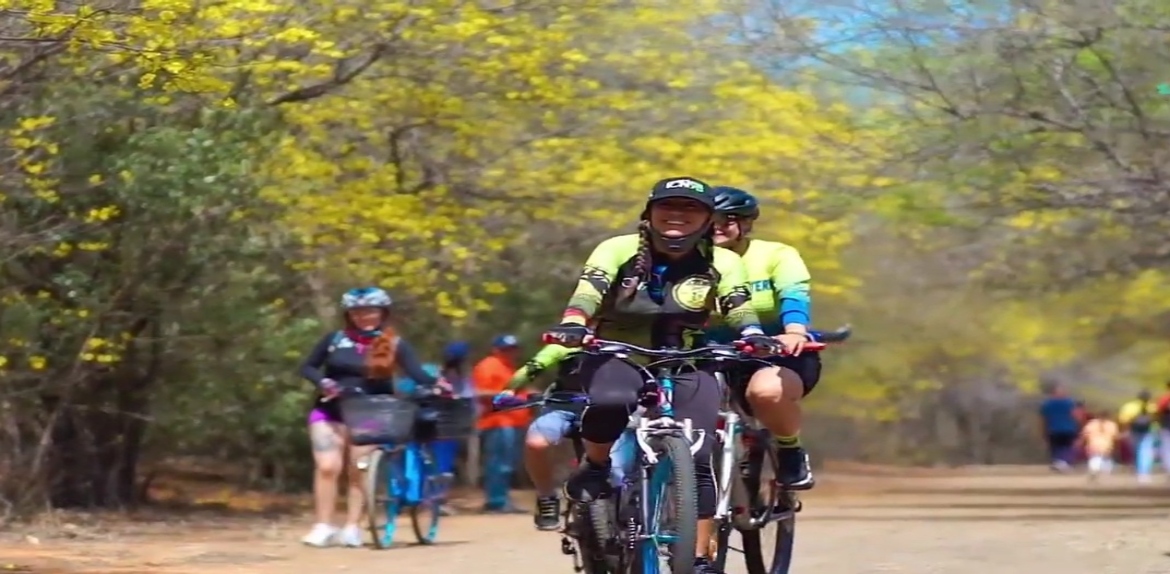 Ciclistas zulianos invitan a disfrutar del florecimiento de los Curaries en el Jardín Botánico