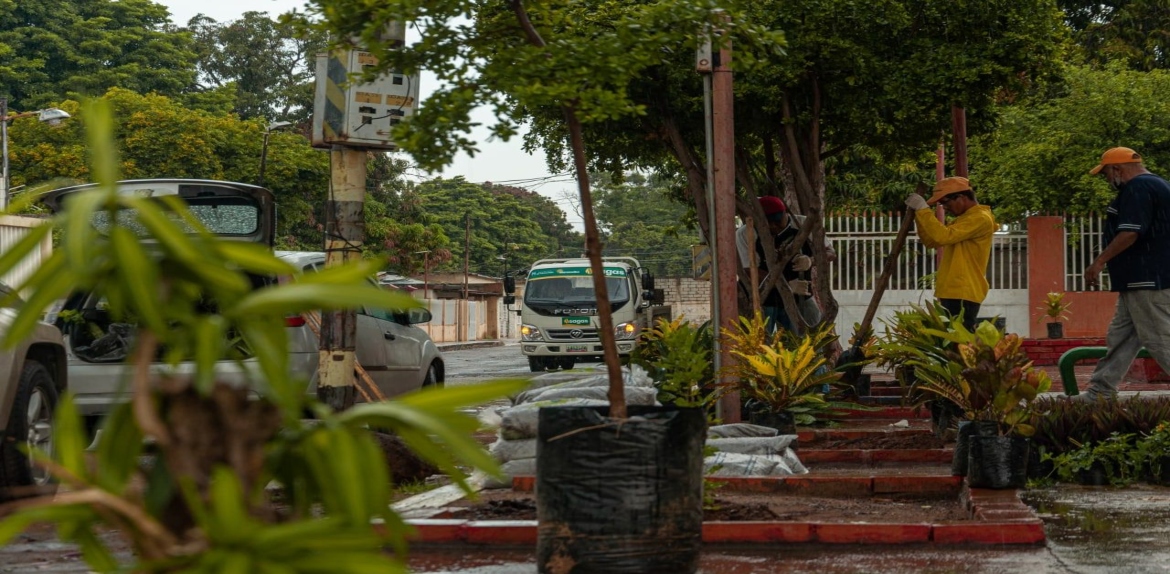 Siembran 1.000 arbustos con el Plan Maracaibo Verde de la Alcaldía