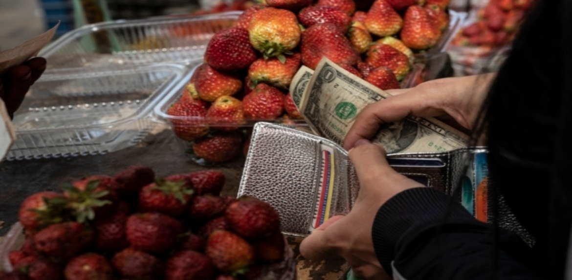 Datanálisis: «Venezolanos gastan más del 50% del presupuesto familiar en alimentos»