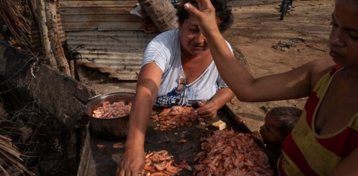 BBC: Cerca del 80% de las exportaciones de camarones del país provienen del Lago de Maracaibo