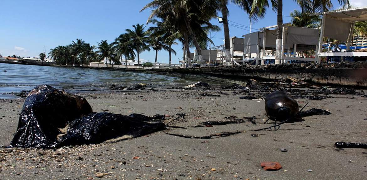 «Una Arboleda para Maracaibo» advierte sobre el total estado de emergencia del Lago