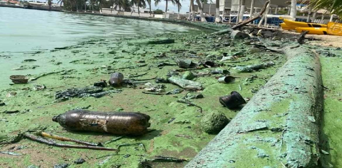 Gobierno endurecerá la fiscalización a industrias por contaminación en el Lago de Maracaibo