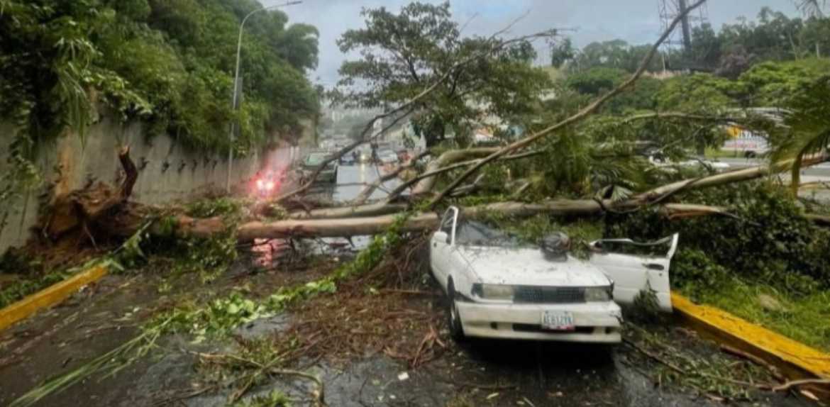 Árboles caídos y constantes fallas eléctricas se registraron en Caracas como consecuencia de fuertes lluvias