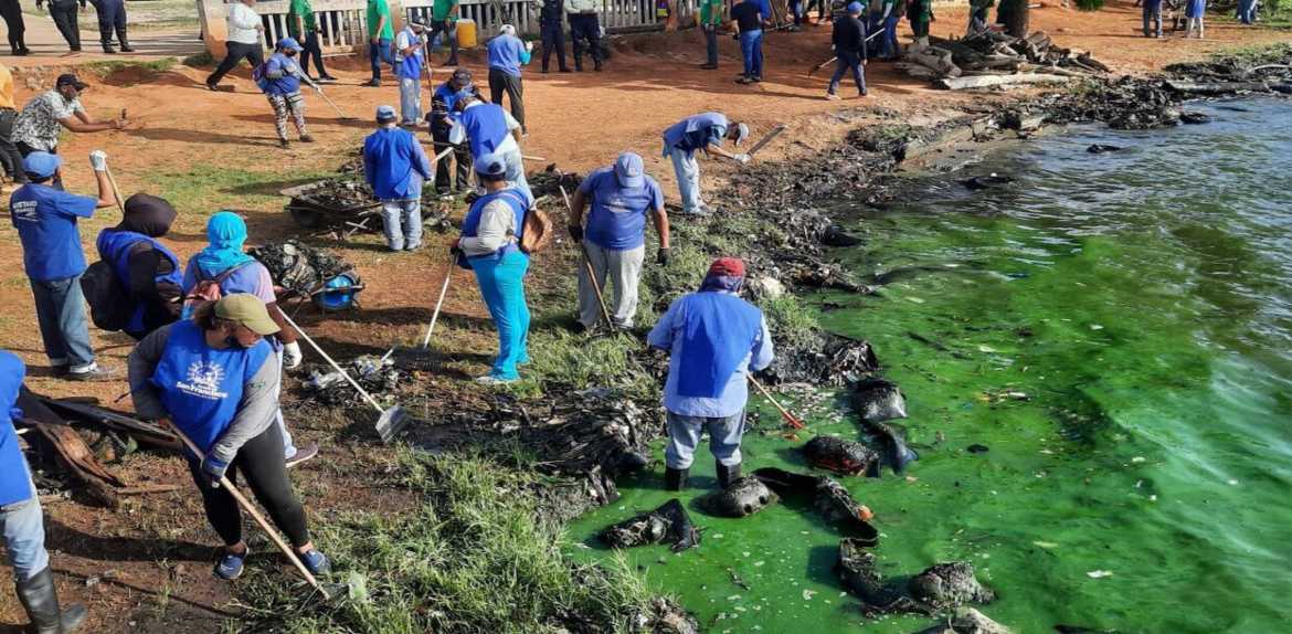 Despliegan operativo de saneamiento en riberas del Lago de Maracaibo