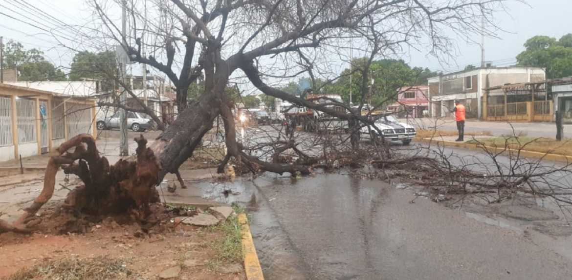 Fuertes lluvias dejaron a varios sectores de Maracaibo sin electricidad este domingo