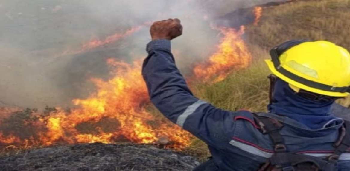 Incendio afectó a 250 hectáreas del parque nacional Henri Pittier, el más antiguo de Venezuela