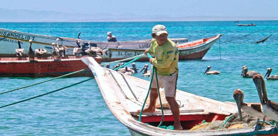 Consumo de pescado en Venezuela se ubica en 17 kilos per cápita al año