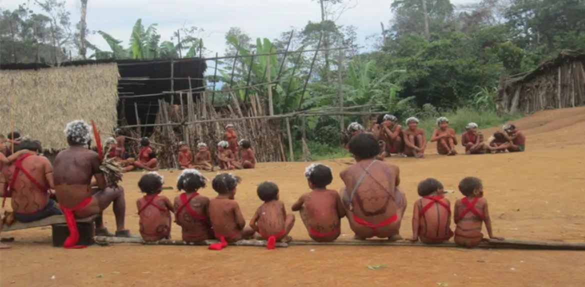 Denuncian la muerte de 85 indígenas yanomami por malaria en Amazonas