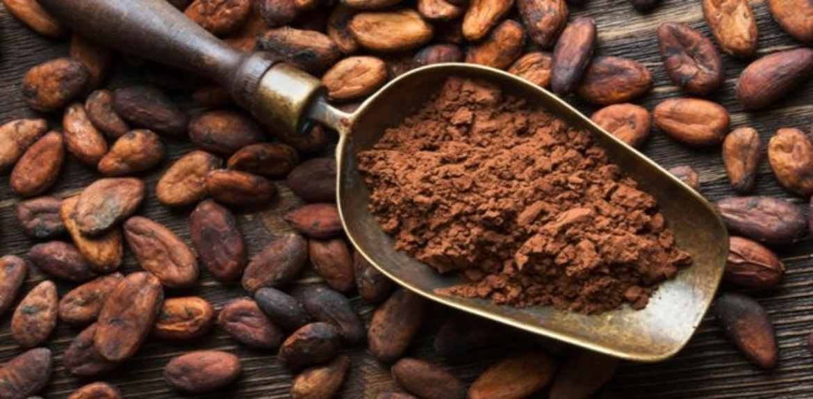 Por baja producción Venezuela se pierde el «boom» de precios internacionales del cacao