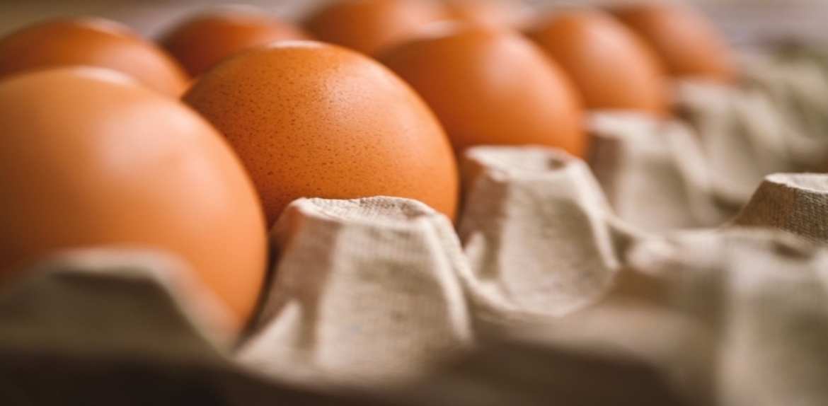 Huevos y pollo representan el 61% de las proteínas de origen animal que consumen los venezolanos