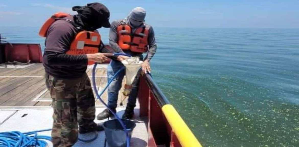 Inició otra jornada de análisis en las aguas del Lago de Maracaibo