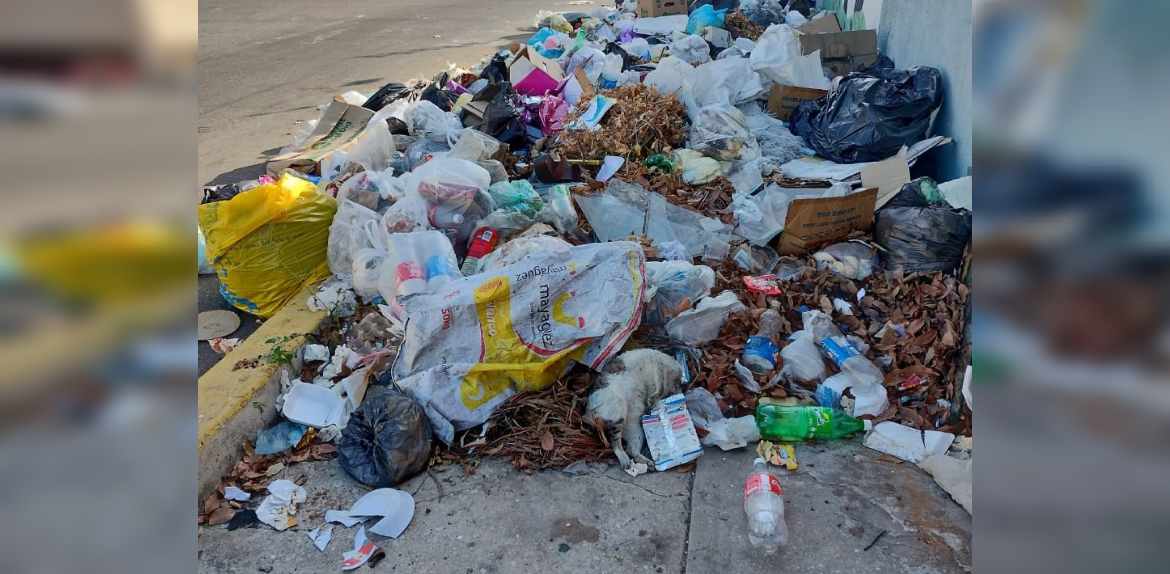 El Casco Central se llena de basura