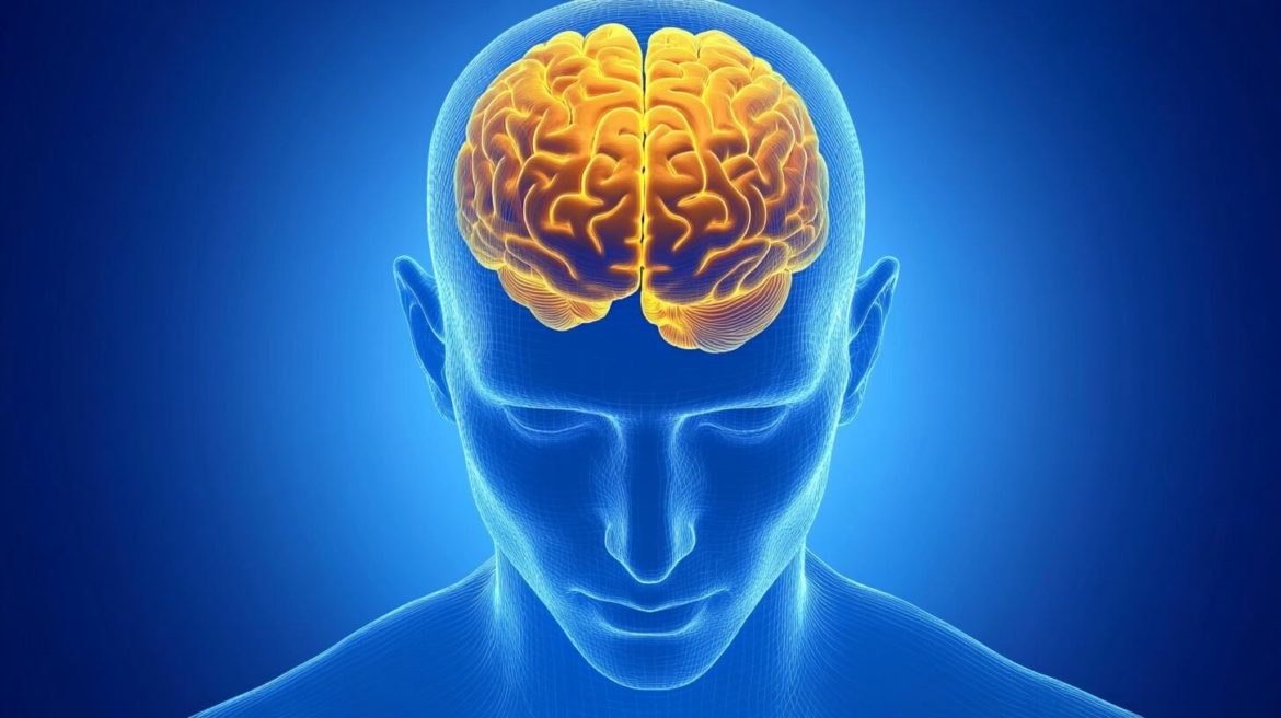 Científicos descubren vínculo bidireccional entre insomnio y microbioma intestinal con terapias potenciales