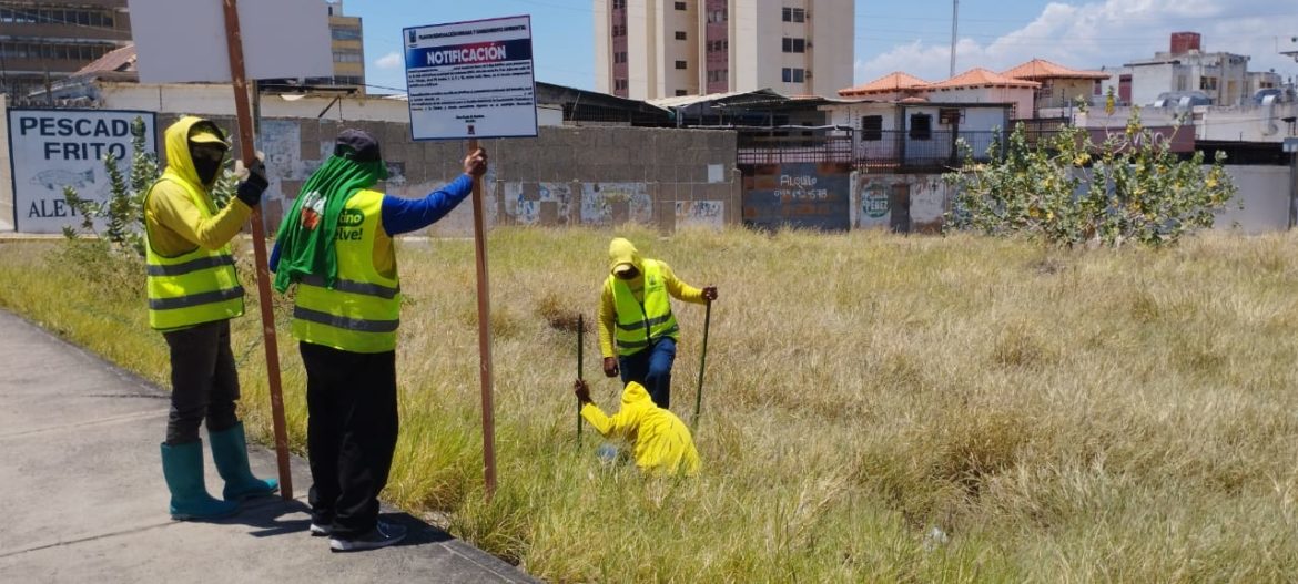 Dueños de terrenos abandonados deben acudir al IMA para ponerse a derecho