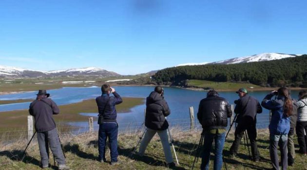 Venezuela continúa líder en el ranking mundial de avistamiento de aves