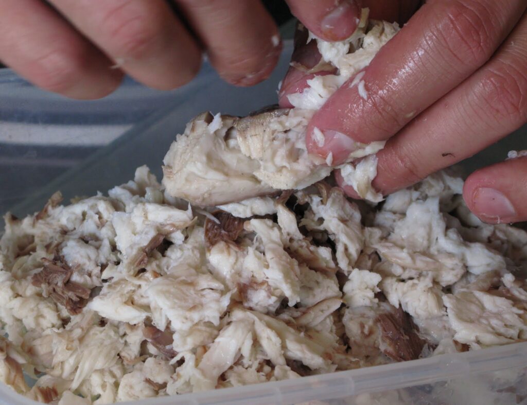 Científicos venezolanos iniciaron campaña para detener el consumo del cazón en Venezuela